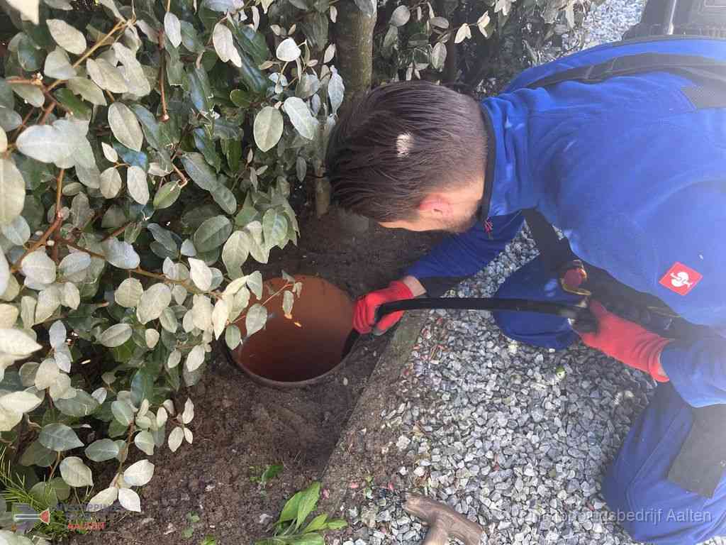 Rioolvliegjes Aalten Rioolvliegjes Aalten